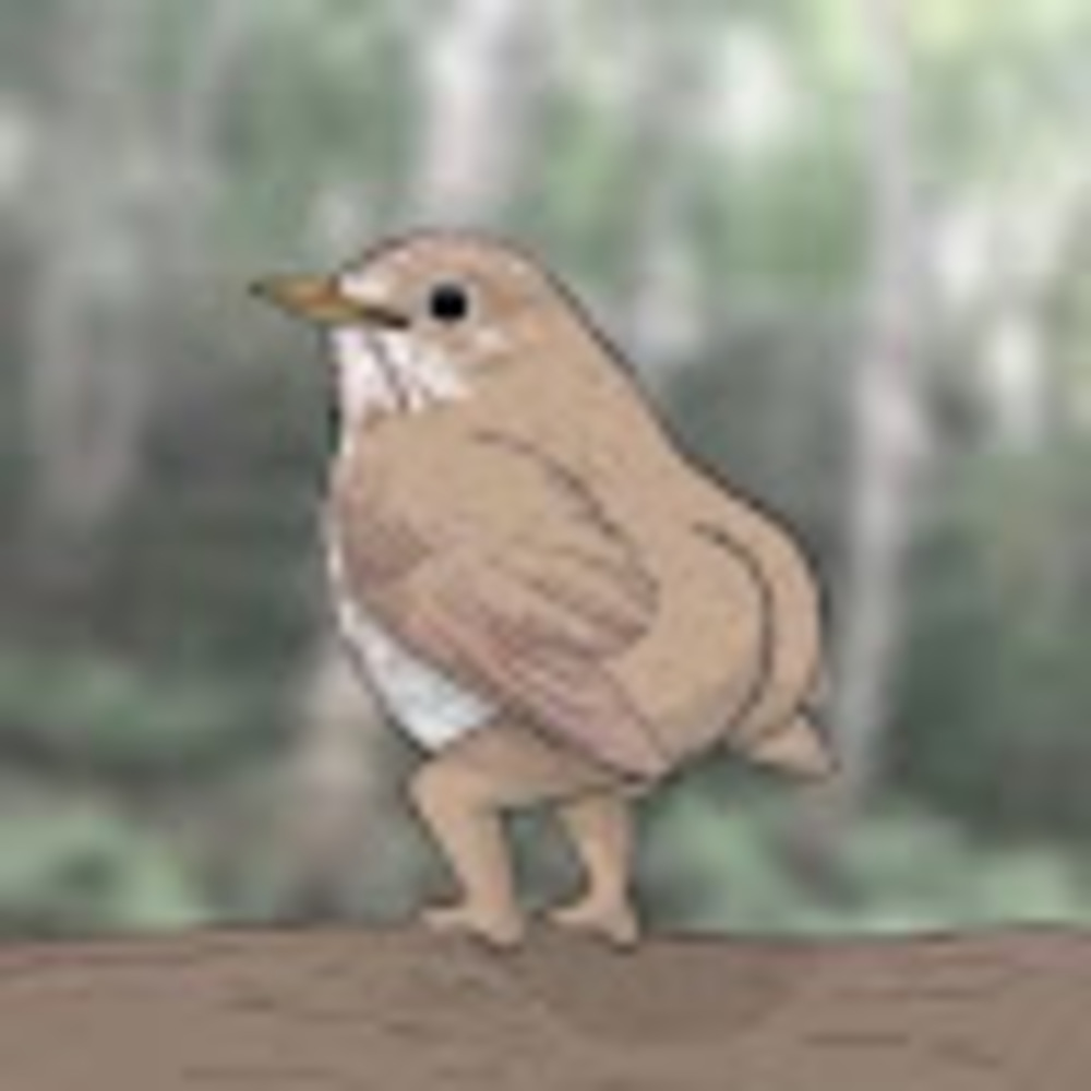 Meet your Posher, Allie